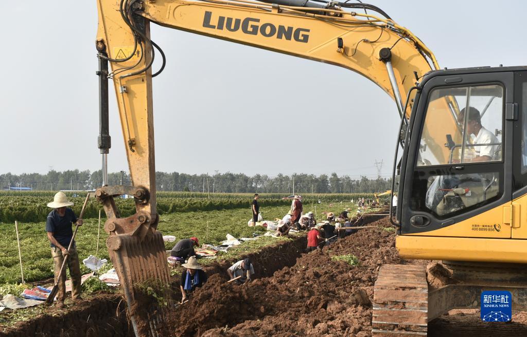 百乐彩120路